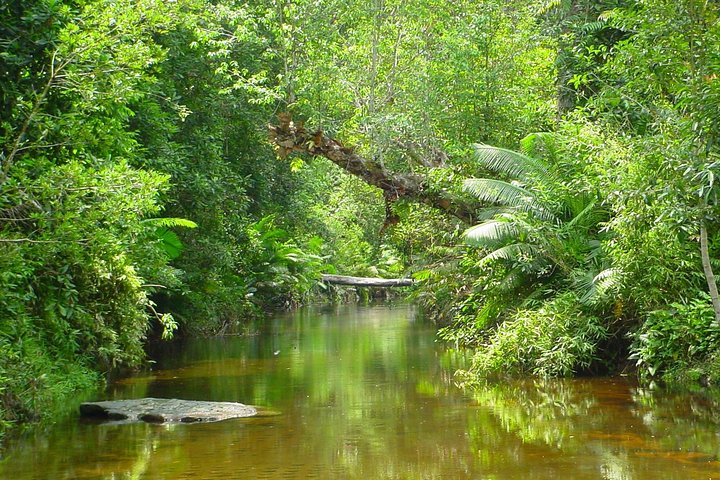 Kulen National Park Ticket