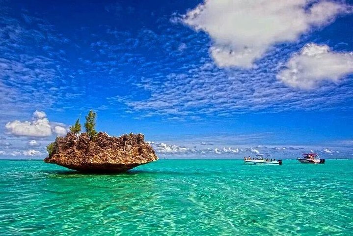 Dolphin Encounters, Ile aux Benitier & Crystal rock: Full-Day (Lunch & Transfer)