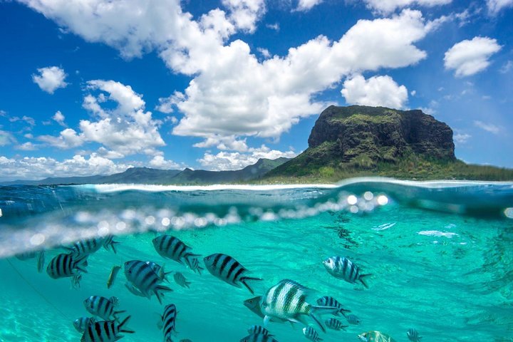 Catamaran Cruise to Ile Aux Bénitiers: Dolphin watch, Crystal Rock & Transfer