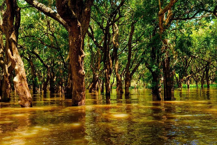 Tonle Sap Lake and Kampong Phluk Village Private Half Day Tour