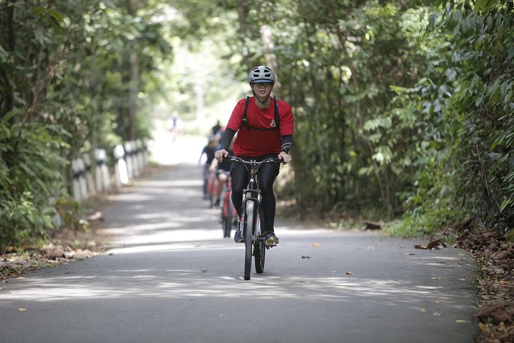 4 Hours Cycling in the Nature at Pulau Ubin Singapore