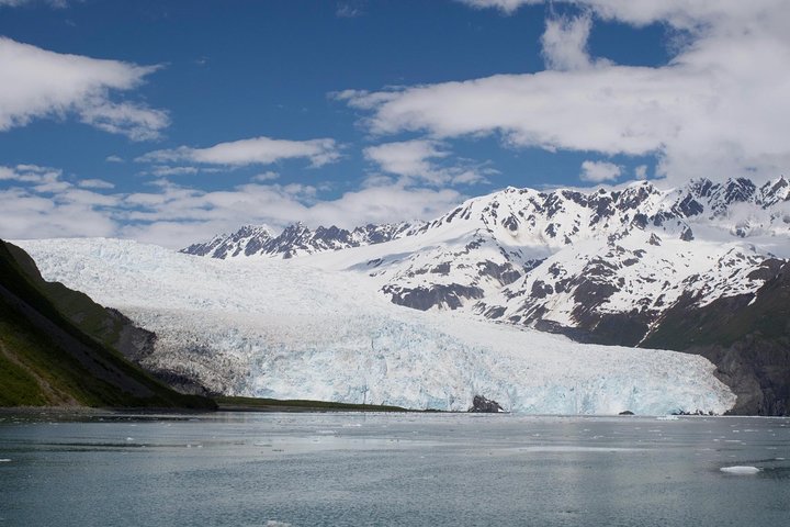Full-Day Kenai Fjords National Park Cruise