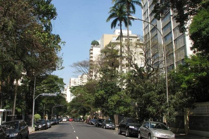 Private Jewish Tour: São Paulo Synagogues & Museums (5 Hours)