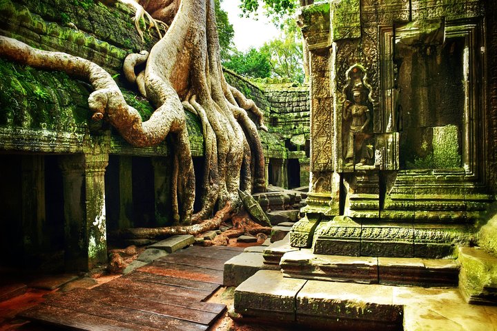Angkor Wat Private Day Tour from Siem Reap