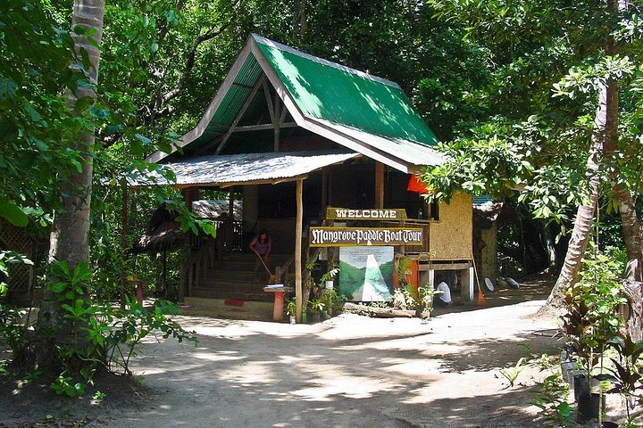 3-in-1 Adventure: Underground River, Zipline ride, and Mangrove Forest Tour