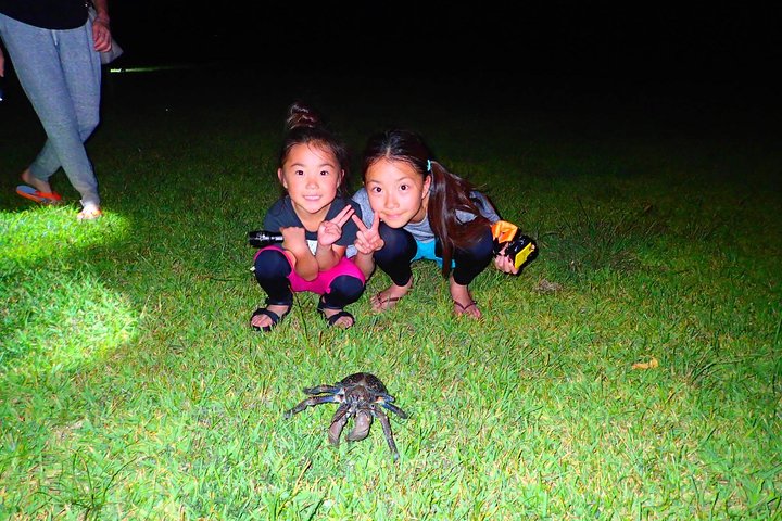 Okinawa Iriomotejima Night Adventure Tour