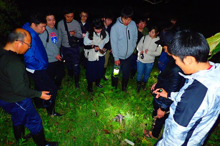 Okinawa Iriomotejima Night Adventure Tour