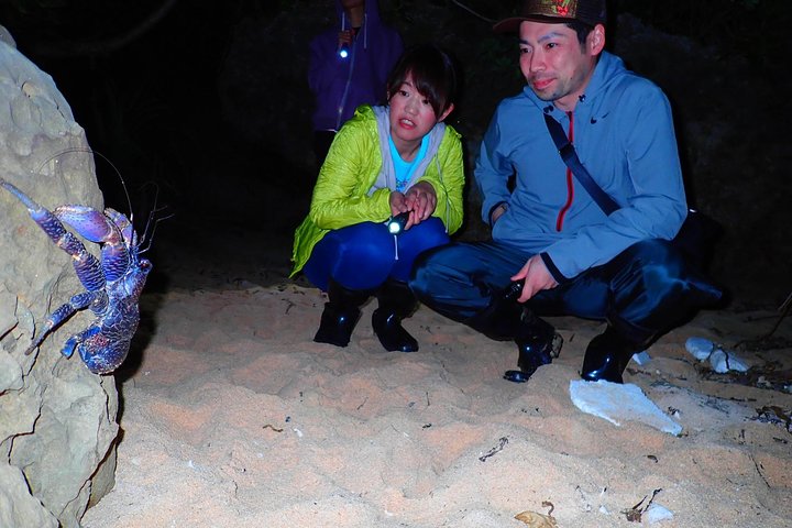 Okinawa Iriomotejima Night Adventure Tour