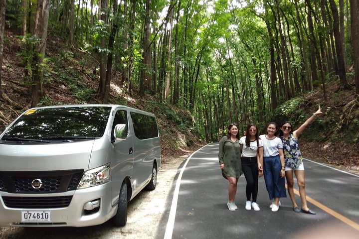 Chocolate hills tour with Tarsier & Loboc river Buffet Lunch (half-day tour)