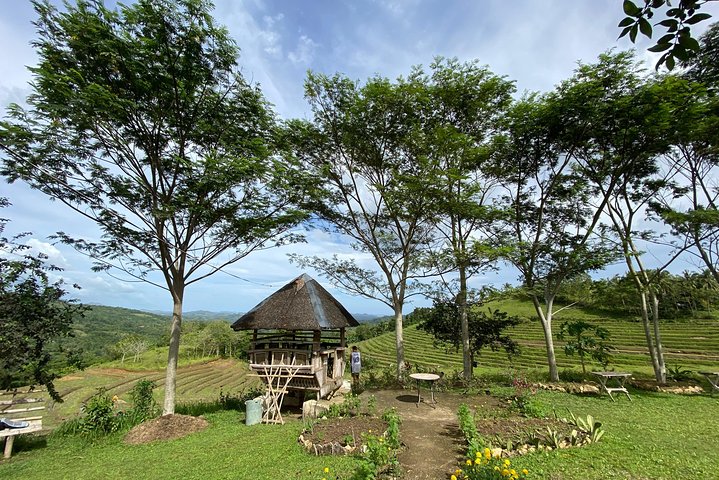Can-umantad Falls and candijay rice terraces Eco Tour
