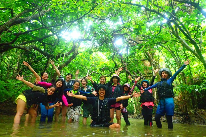 Okinawa Iriomote Mangrove SUP or Canoe Tour
