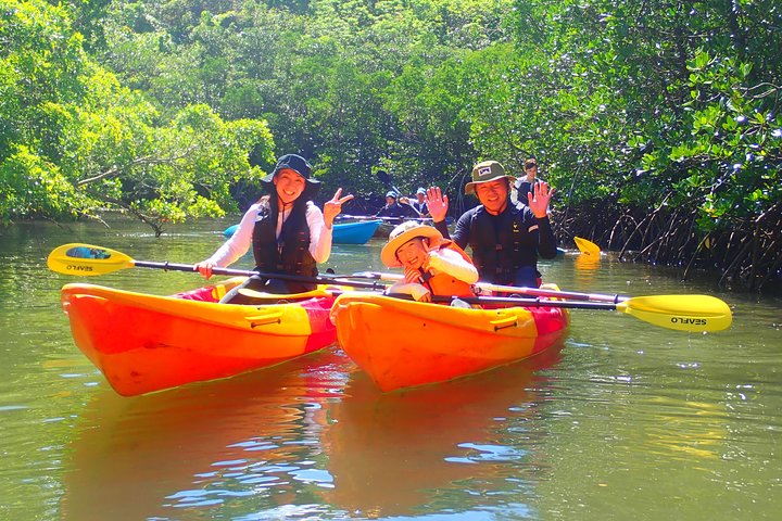 Okinawa Iriomote Mangrove SUP or Canoe Tour