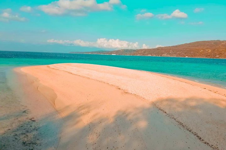 Whale Shark Watching with Sumilon Sandbar and Kawasan Falls Tour