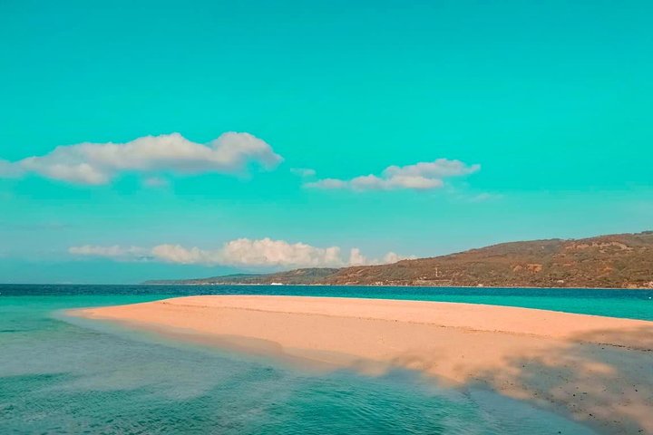 Whale Shark Watching with Sumilon Sandbar and Kawasan Falls Tour