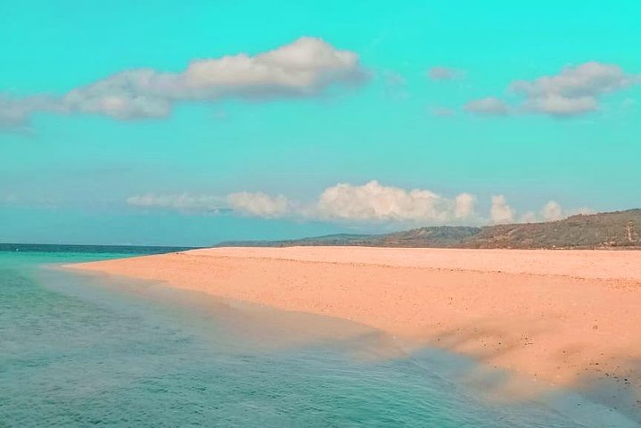 Whale Shark Watching with Sumilon Sandbar and Kawasan Falls Tour