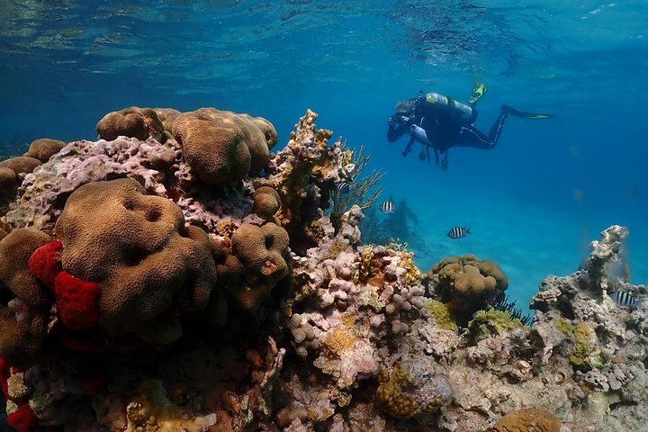 Culebra Snorkeling and Beach Day Tour All Inclusive