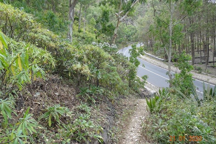 Hike Tour