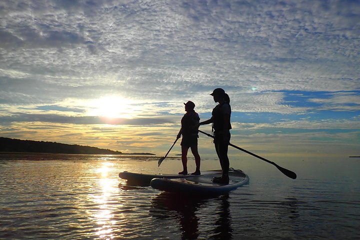 Okinawa Iriomote Sunset SUP or Canoe Tour in Iriomote Island
