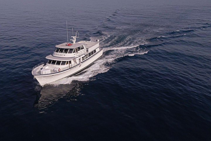 San Diego: 3 Hour Whale Watch Cruise with Legacy Whale Watch