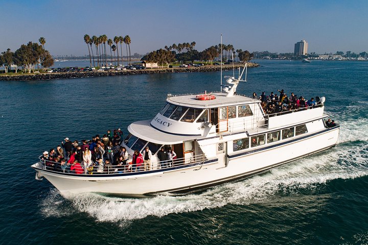 San Diego: 3 Hour Whale Watch Cruise with Legacy Whale Watch