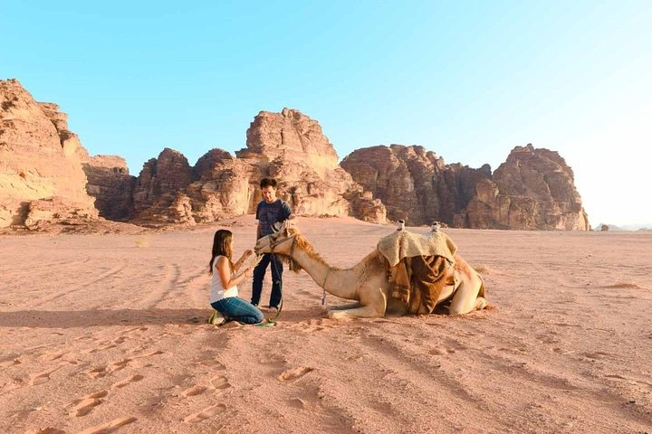 Petra and Wadi Rum Day trip from Aqaba City
