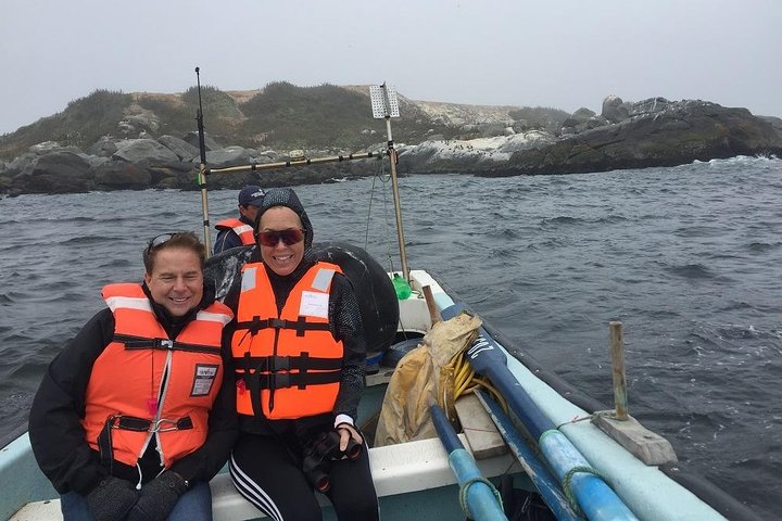 Penguin Watching-Navigation Horseback Riding & BBQ FromVALPARAISO