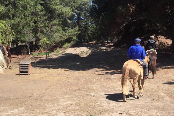Penguin Watching-Navigation Horseback Riding & BBQ FromVALPARAISO