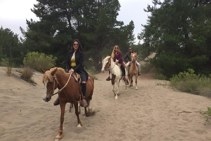 Penguin Watching-Navigation Horseback Riding & BBQ FromVALPARAISO