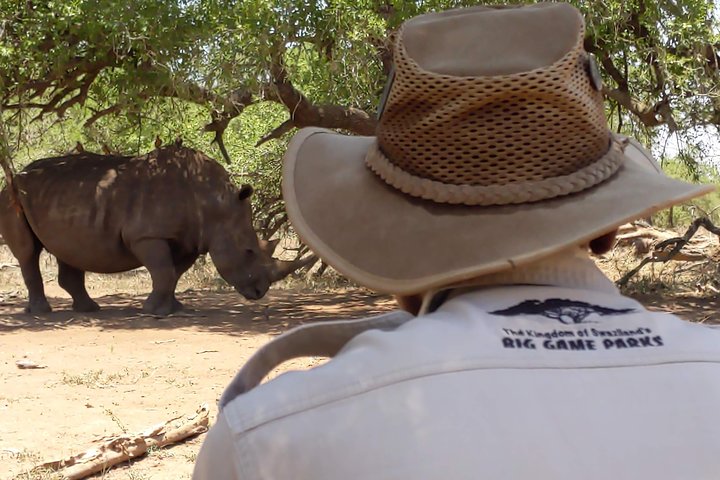 4-Day Best Of eSwatini Tour- The African experience