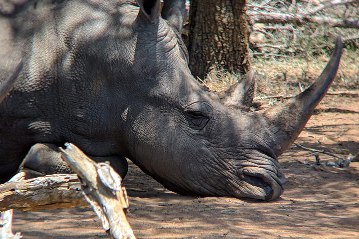 4-Day Best Of eSwatini Tour- The African experience