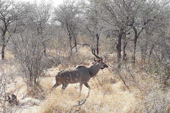 4-Day Best Of eSwatini Tour- The African experience