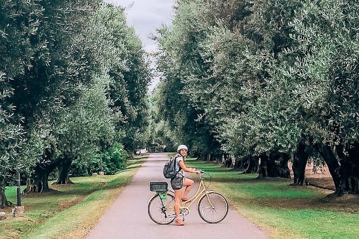 Self-Guided Bike Tour in Luján de Cuyo Wine Region (Mendoza)