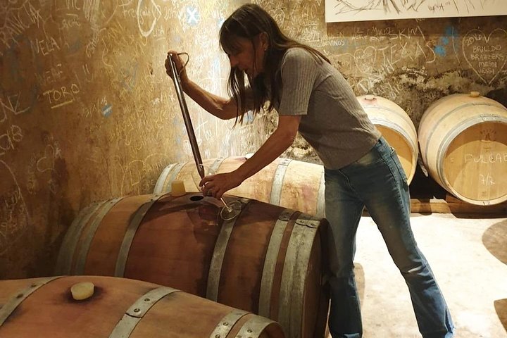 Self-Guided Bike Tour in Luján de Cuyo Wine Region (Mendoza)