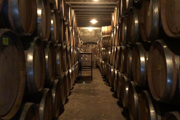 Self-Guided Bike Tour in Luján de Cuyo Wine Region (Mendoza)
