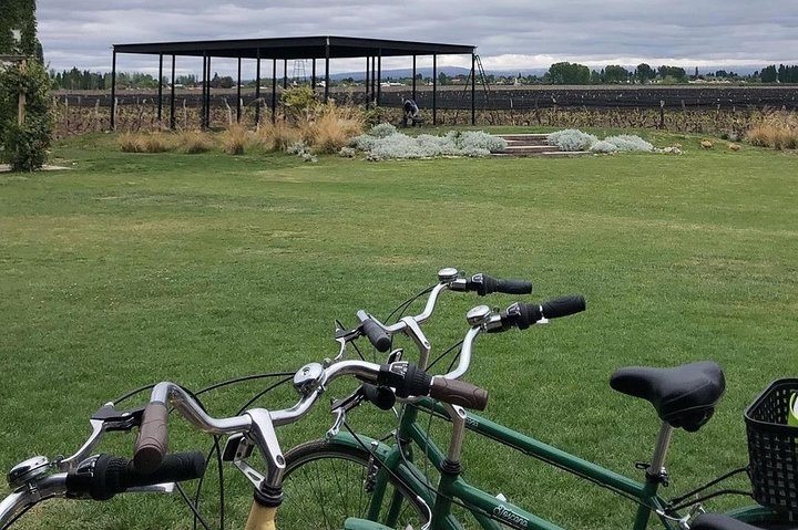 Self-Guided Bike Tour in Luján de Cuyo Wine Region (Mendoza)