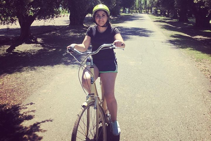 Self-Guided Bike Tour in Luján de Cuyo Wine Region (Mendoza)