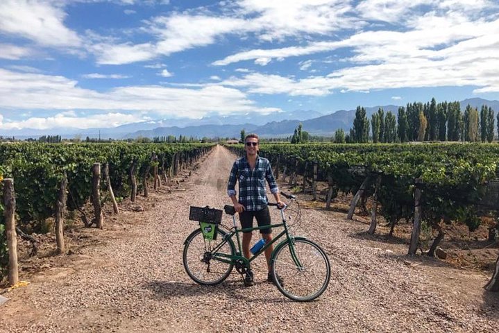 Self-Guided Bike Tour in Luján de Cuyo Wine Region (Mendoza)