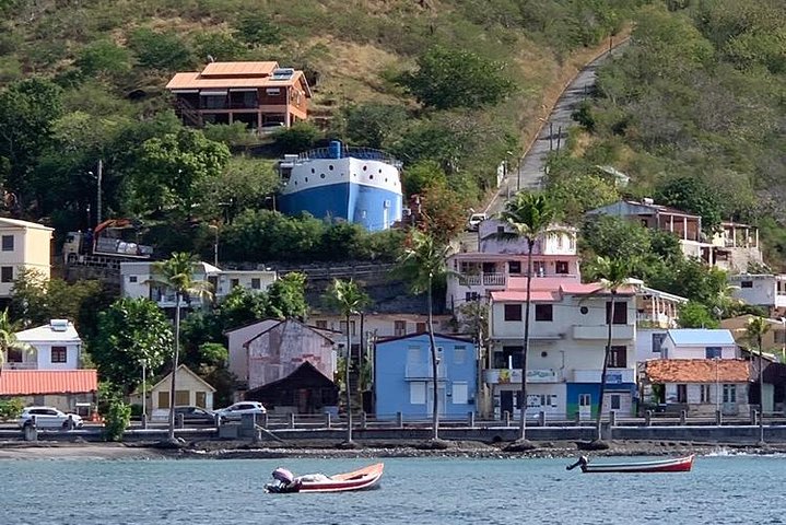 Discovery of dolphins on the Caribbean coast
