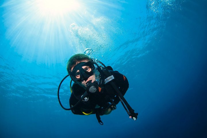Discover Scuba Diving in Pemuteran - Diving Initiation in Bali (Menjangan Park)