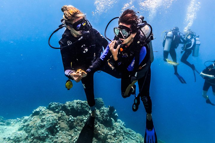 Discover Scuba Diving in Pemuteran - Diving Initiation in Bali (Menjangan Park)