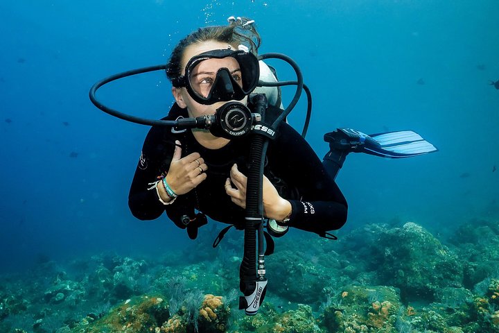 Discover Scuba Diving in Pemuteran - Diving Initiation in Bali (Menjangan Park)
