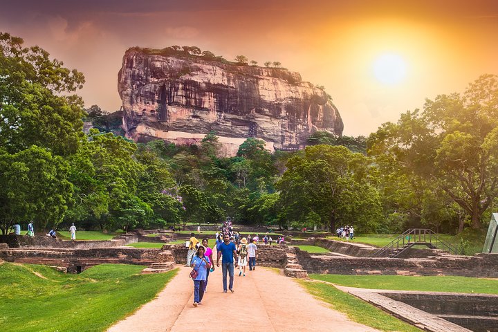 From Colombo: Sigiriya and Dambulla Day Trip and Safari