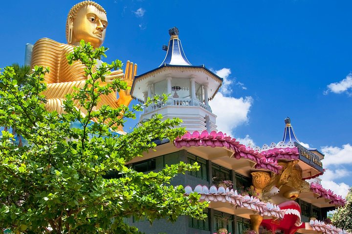 From Colombo: Sigiriya and Dambulla Day Trip and Safari