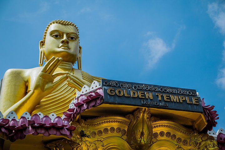From Colombo: Sigiriya and Dambulla Day Trip and Safari