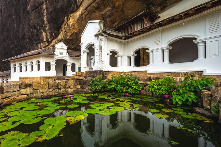 From Colombo: Sigiriya and Dambulla Day Trip and Safari