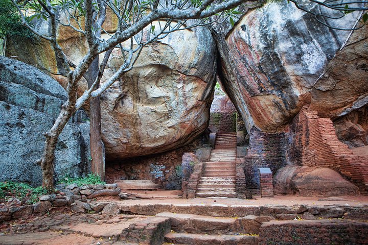 From Colombo: Sigiriya and Dambulla Day Trip and Safari