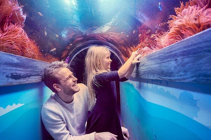 SEA LIFE Brighton Admission Ticket