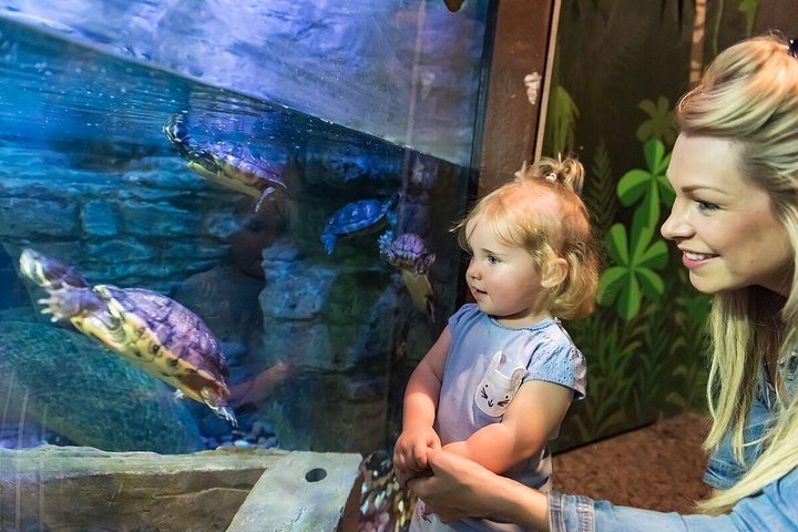 SEA LIFE Brighton Admission Ticket