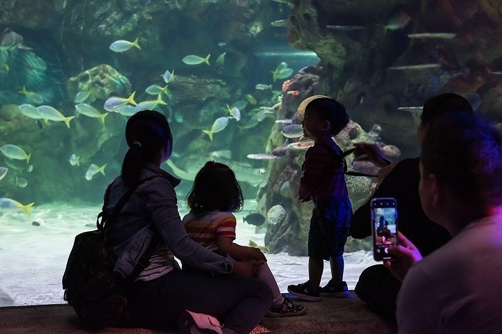 SEA LIFE Brighton Admission Ticket