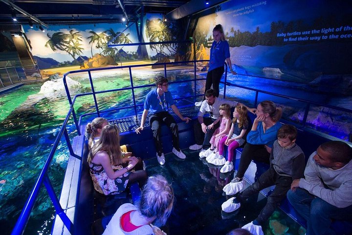 SEA LIFE Brighton Admission Ticket